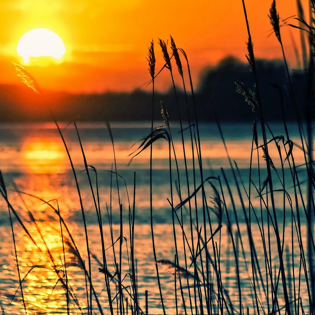 vand solnedgang kvadrat e1612622448804