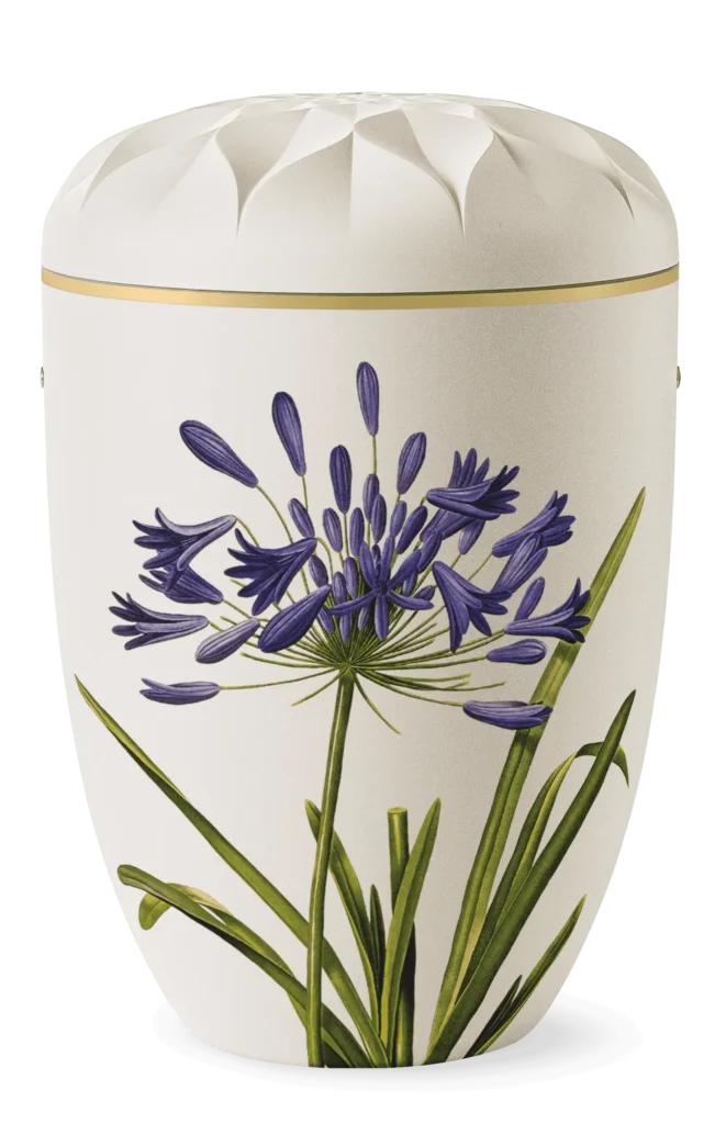 Ydun – Hvid med blå skærmlilje